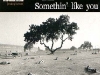cover-sly